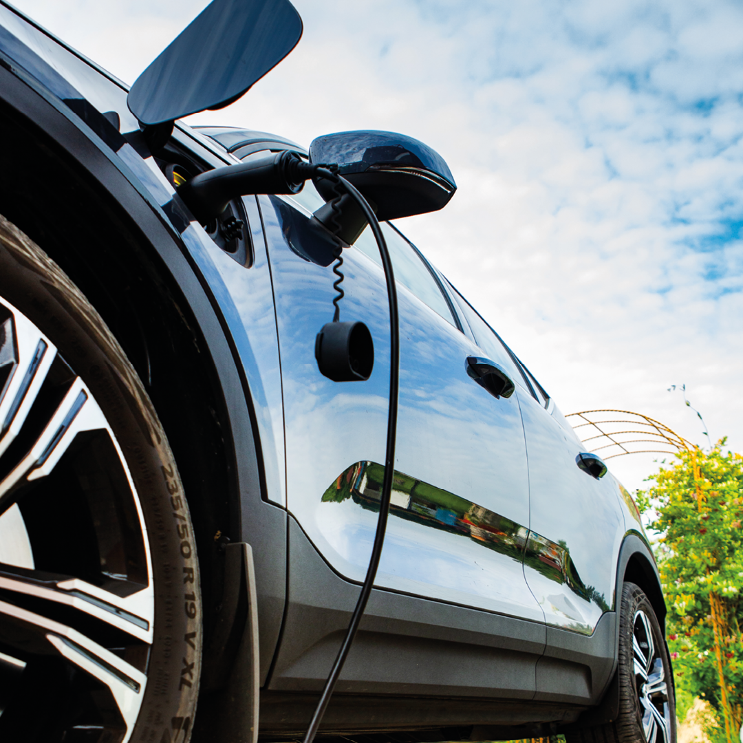 Image hover effect image